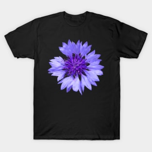 blue cornflower, flower, flowers, blossom, garden T-Shirt